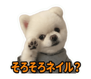 859287176