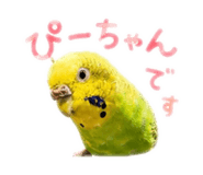 859288241