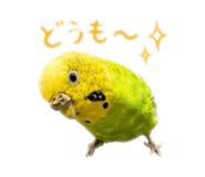 859288242