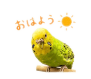 859288246