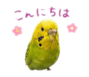 859288247