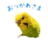 859288249