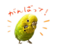859288250