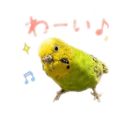 859288251