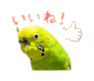 859288252