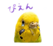 859288254