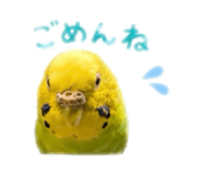 859288258