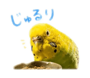 859288259