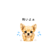 859288570