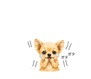 859288571