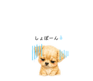 859288573