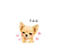 859288579