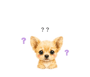 859288580