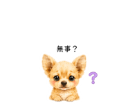 859288581