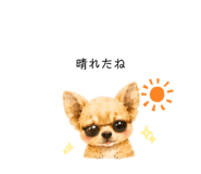 859288597