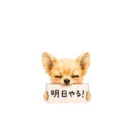 859288602