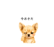 859288604