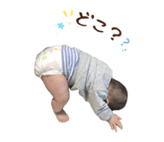859290162