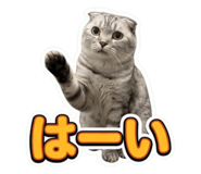 859293764