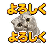 859293768