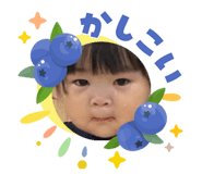 859293979