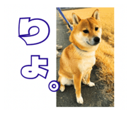 859294110
