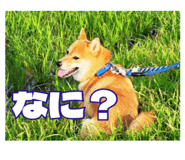 859294117