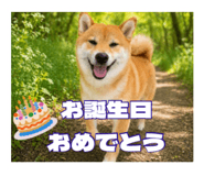 859294118