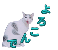 859294185