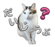 859294186