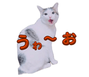 859294188