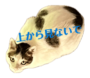 859294189