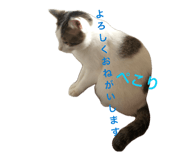 859294195