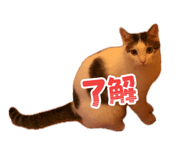 859294201