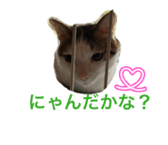 859294208