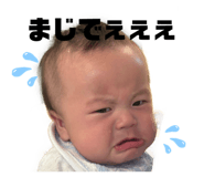 859294228
