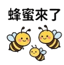 859296375