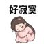 859297518