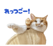 859298707