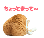 859298708