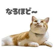 859298711