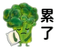 859299251