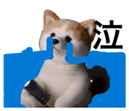 859299418