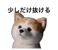 859299427