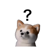 859299429
