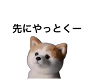 859299438