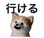 859299439