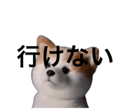 859299440
