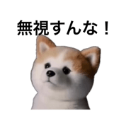 859299441