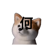 859299442